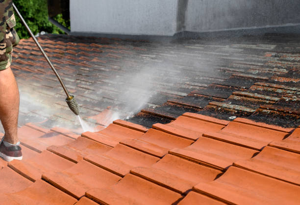 Best Concrete Pressure Washing  in Millbourne, PA